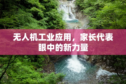 无人机工业应用，家长代表眼中的新力量