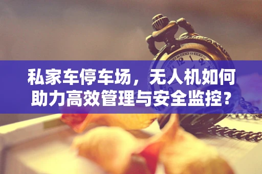 私家车停车场，无人机如何助力高效管理与安全监控？