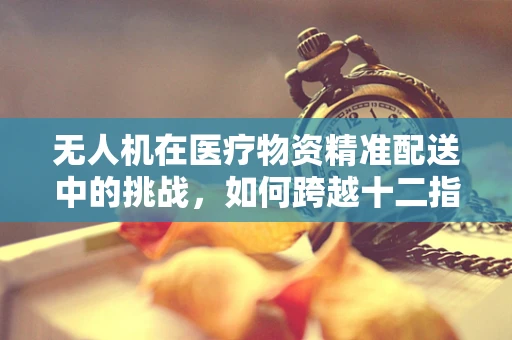 无人机在医疗物资精准配送中的挑战，如何跨越十二指肠溃疡患者的特殊需求？