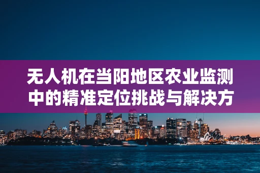 无人机在当阳地区农业监测中的精准定位挑战与解决方案