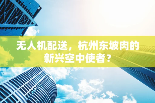 无人机配送，杭州东坡肉的新兴空中使者？