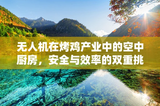 无人机在烤鸡产业中的空中厨房，安全与效率的双重挑战？