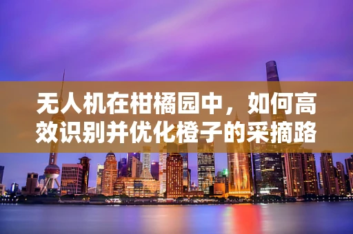 无人机在柑橘园中，如何高效识别并优化橙子的采摘路径？