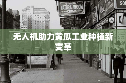 无人机助力黄瓜工业种植新变革