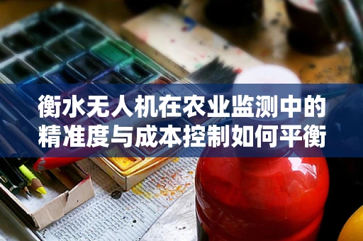 衡水无人机在农业监测中的精准度与成本控制如何平衡？