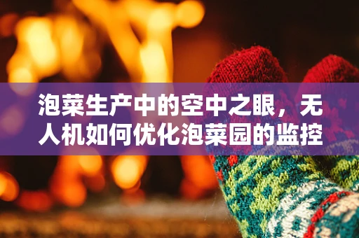 泡菜生产中的空中之眼，无人机如何优化泡菜园的监控与管理？