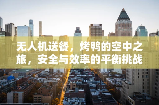 无人机送餐，烤鸭的空中之旅，安全与效率的平衡挑战？