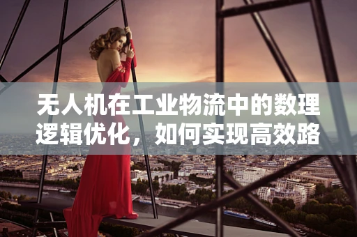 无人机在工业物流中的数理逻辑优化，如何实现高效路径规划？