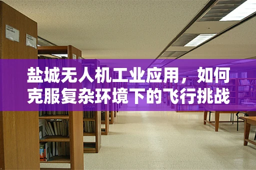 盐城无人机工业应用，如何克服复杂环境下的飞行挑战？