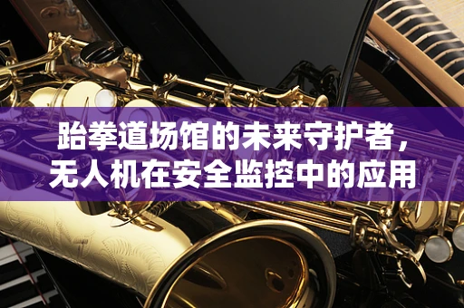 跆拳道场馆的未来守护者，无人机在安全监控中的应用？