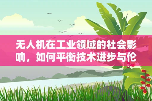 无人机在工业领域的社会影响，如何平衡技术进步与伦理考量？