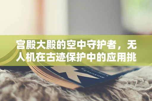 宫殿大殿的空中守护者，无人机在古迹保护中的应用挑战