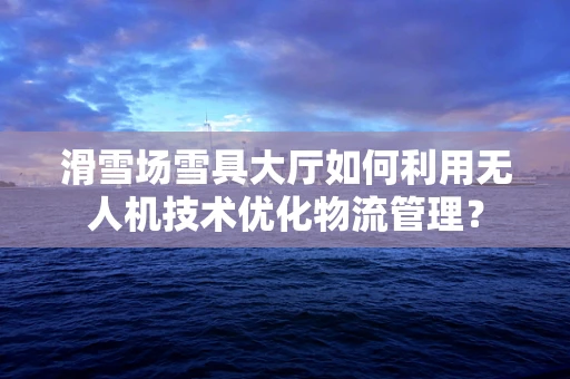 滑雪场雪具大厅如何利用无人机技术优化物流管理？