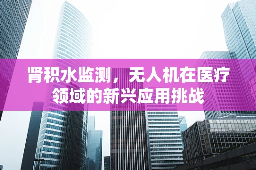 肾积水监测，无人机在医疗领域的新兴应用挑战