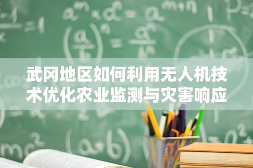武冈地区如何利用无人机技术优化农业监测与灾害响应？