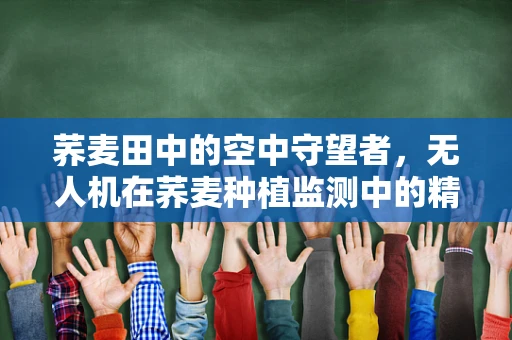 荞麦田中的空中守望者，无人机在荞麦种植监测中的精准挑战