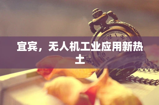 宜宾，无人机工业应用新热土