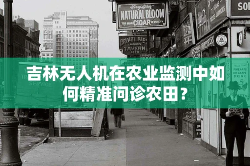 吉林无人机在农业监测中如何精准问诊农田？
