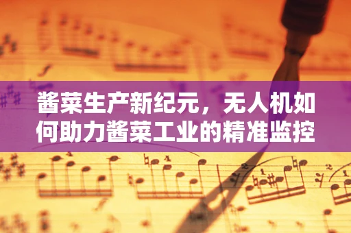 酱菜生产新纪元，无人机如何助力酱菜工业的精准监控与高效运输？