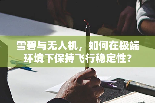 雪碧与无人机，如何在极端环境下保持飞行稳定性？