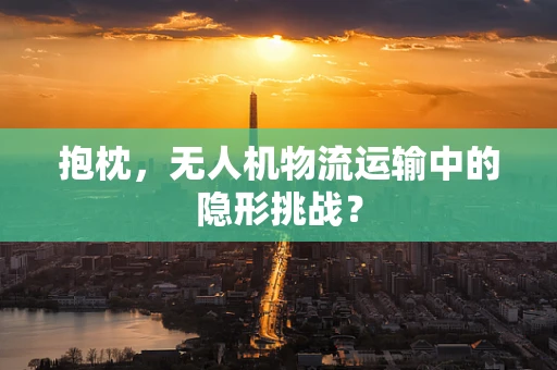 抱枕，无人机物流运输中的隐形挑战？