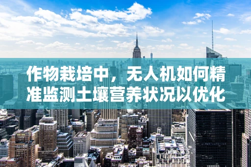 作物栽培中，无人机如何精准监测土壤营养状况以优化施肥策略？