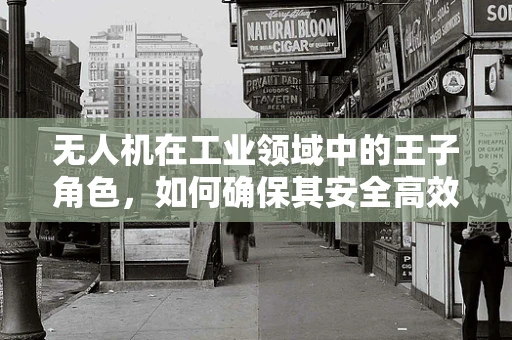 无人机在工业领域中的王子角色，如何确保其安全高效地执行任务？