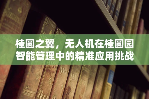 桂圆之翼，无人机在桂圆园智能管理中的精准应用挑战