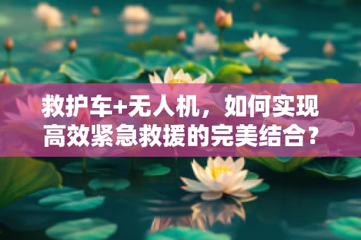 救护车+无人机，如何实现高效紧急救援的完美结合？