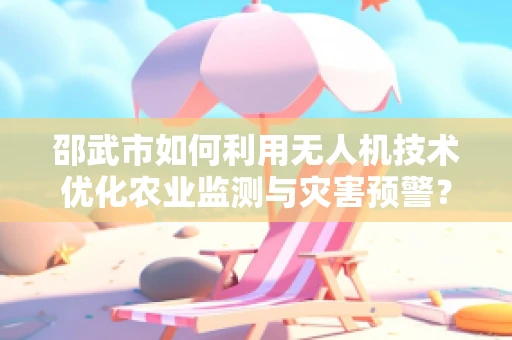 邵武市如何利用无人机技术优化农业监测与灾害预警？