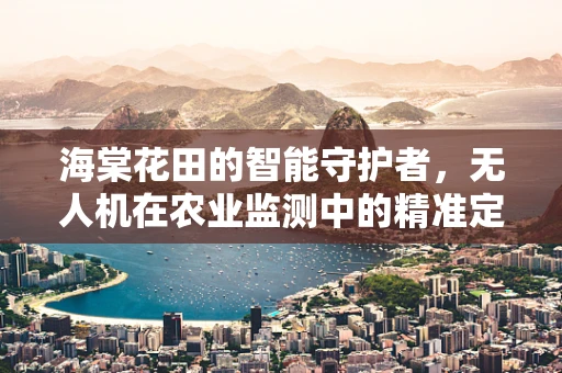 海棠花田的智能守护者，无人机在农业监测中的精准定位挑战