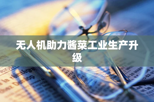 无人机助力酱菜工业生产升级