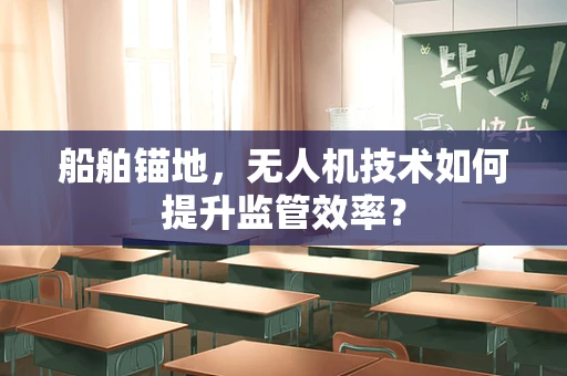 船舶锚地，无人机技术如何提升监管效率？