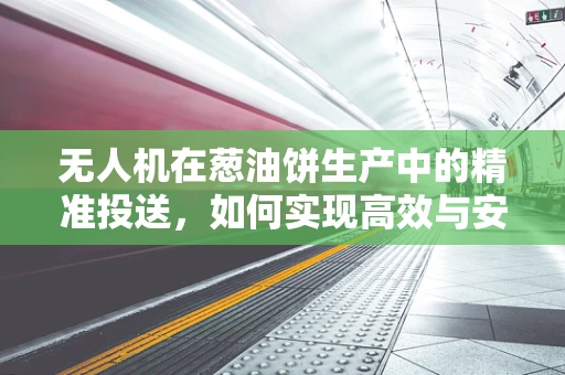 无人机在葱油饼生产中的精准投送，如何实现高效与安全？