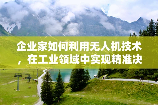 企业家如何利用无人机技术，在工业领域中实现精准决策与高效管理？