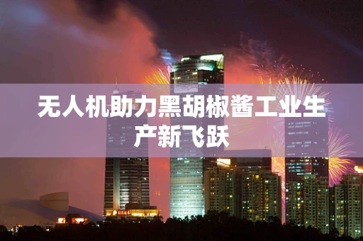无人机助力黑胡椒酱工业生产新飞跃