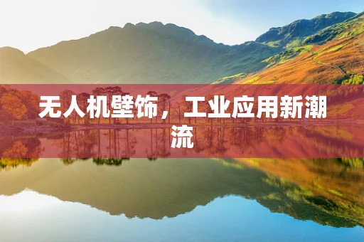 无人机壁饰，工业应用新潮流