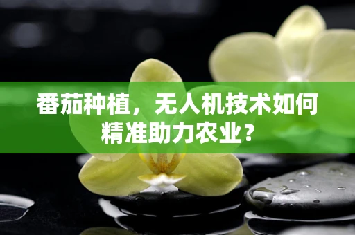 番茄种植，无人机技术如何精准助力农业？