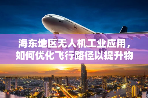海东地区无人机工业应用，如何优化飞行路径以提升物流效率？