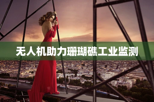无人机助力珊瑚礁工业监测