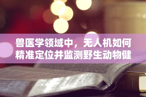兽医学领域中，无人机如何精准定位并监测野生动物健康状况？