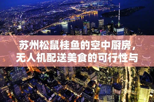 苏州松鼠桂鱼的空中厨房，无人机配送美食的可行性与挑战？