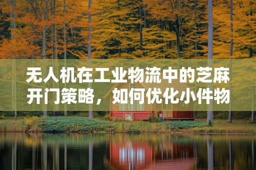无人机在工业物流中的芝麻开门策略，如何优化小件物品的智能配送？