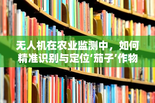 无人机在农业监测中，如何精准识别与定位‘茄子’作物？