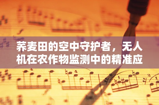 荞麦田的空中守护者，无人机在农作物监测中的精准应用如何实现？