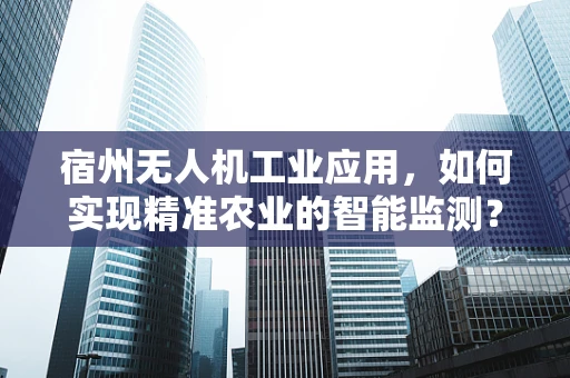 宿州无人机工业应用，如何实现精准农业的智能监测？