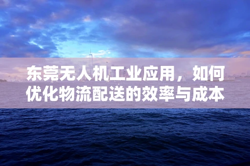 东莞无人机工业应用，如何优化物流配送的效率与成本？