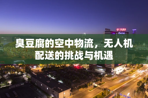 臭豆腐的空中物流，无人机配送的挑战与机遇