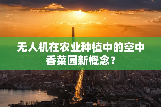无人机在农业种植中的空中香菜园新概念？