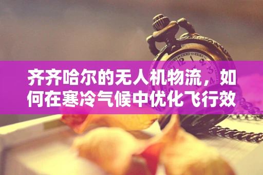 齐齐哈尔的无人机物流，如何在寒冷气候中优化飞行效率？
